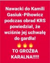 Kultura pisowskich chamów 