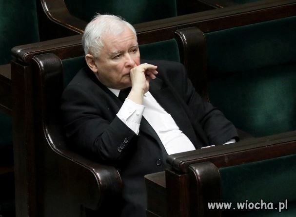 Głosowanie w sprawie In Vitro drogie pisiaki