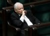 Głosowanie w sprawie In Vitro drogie pisiaki
