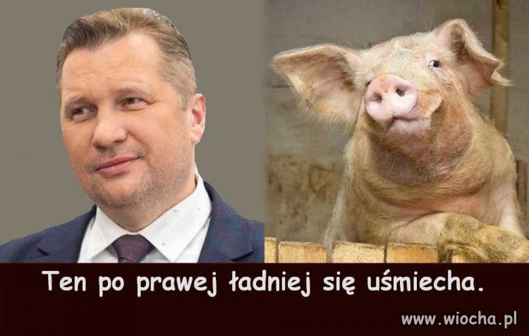 Znajdź różnicę