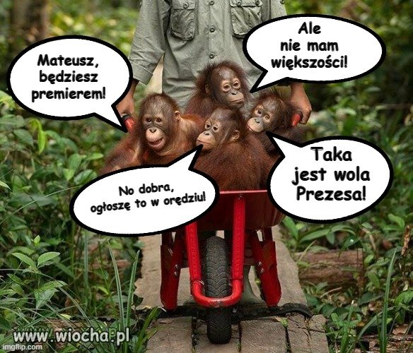 Tak wyglądały