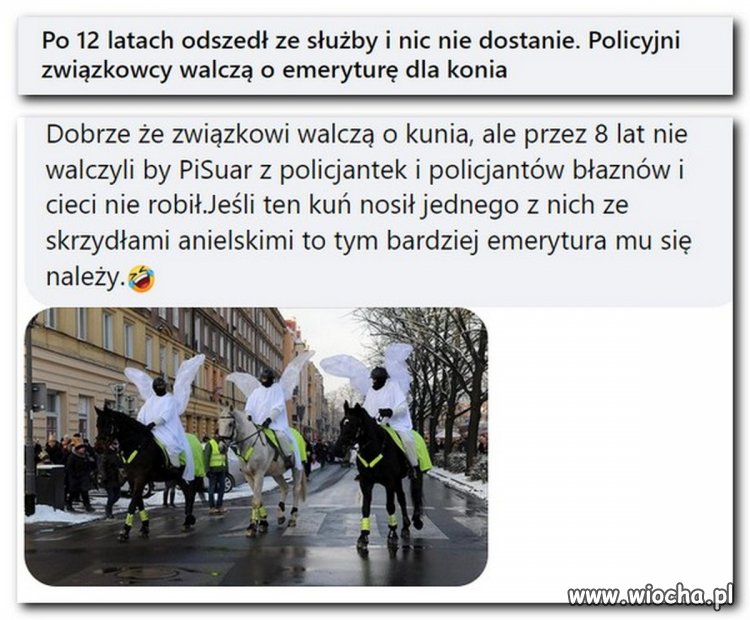 Policyjne związki działają