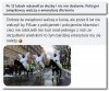 Policyjne związki działają