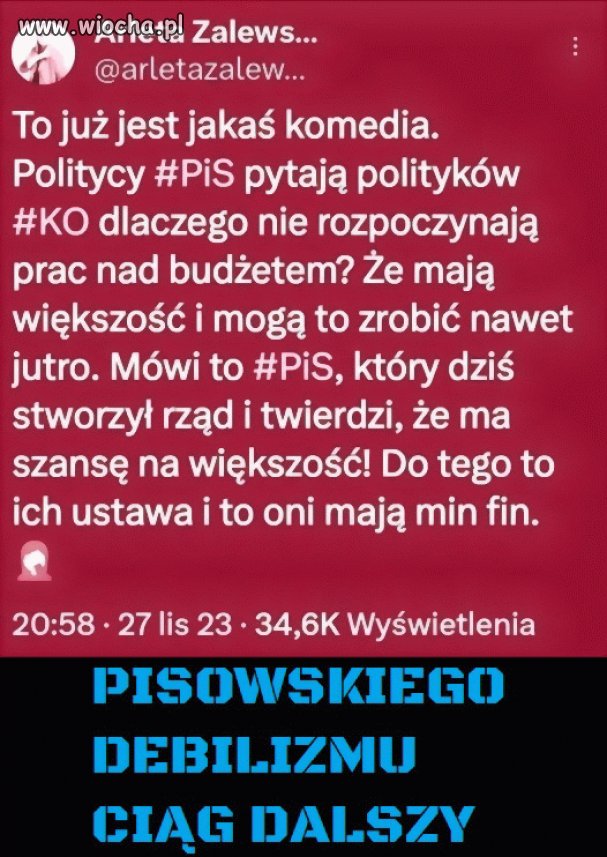 Pisowcy coraz głupsi