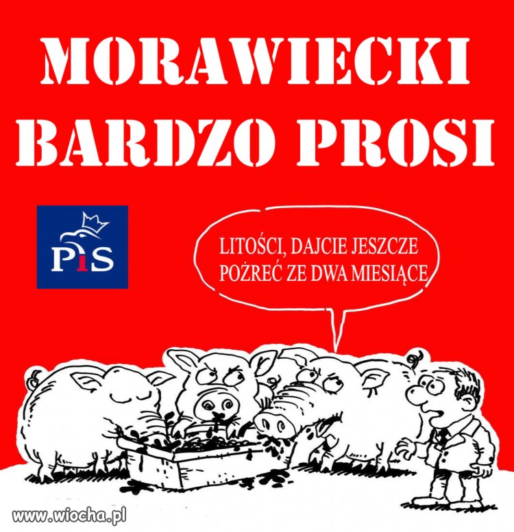 Morawiecki bardzo prosi