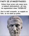 I za to go cenię...