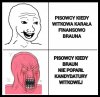 Znaleźli się, qoorła, PIS-owscy demokraci!