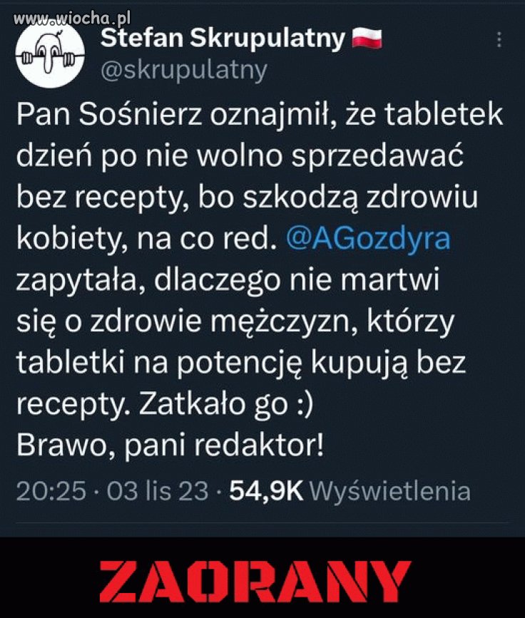 Sośnierz idiota zaorany koncertowo