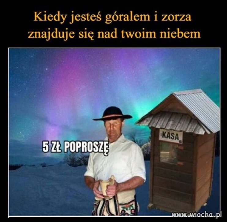 Za chytrość to już nikt ich nie lubi