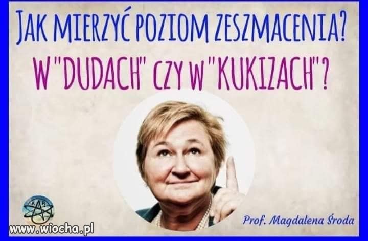 Jeden duda to dziesięć kukizów