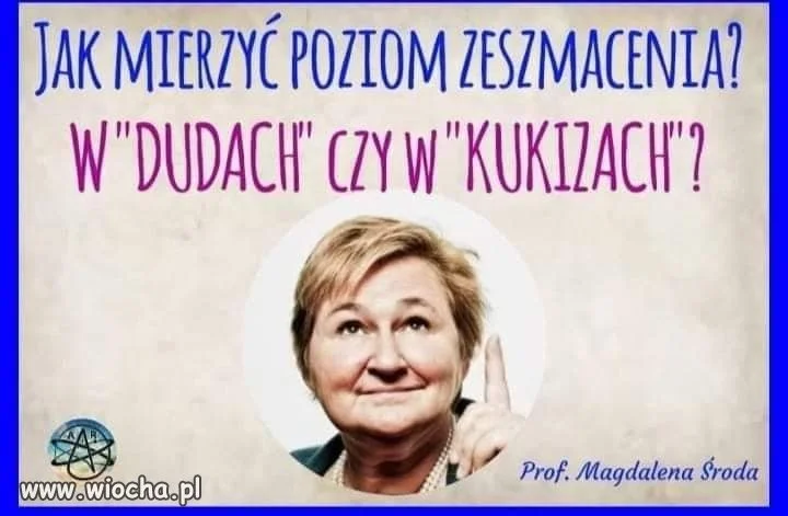 Jeden duda to dziesięć kukizów