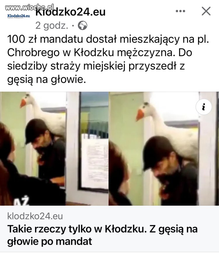 Takie rzeczy tylko w Kłodzku 