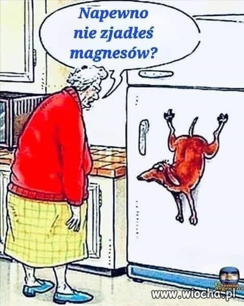 Zaginione magnesy 