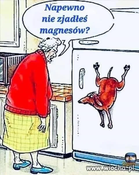 Zaginione magnesy 
