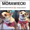 Morawiecki