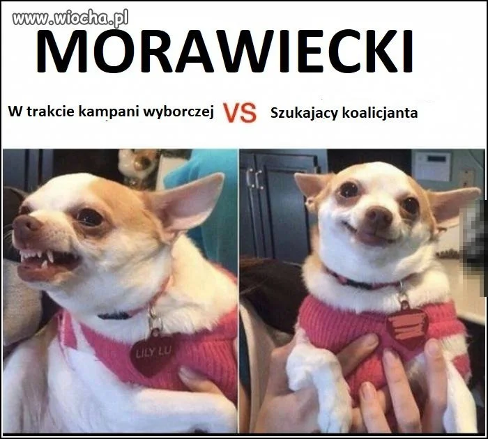 Morawiecki