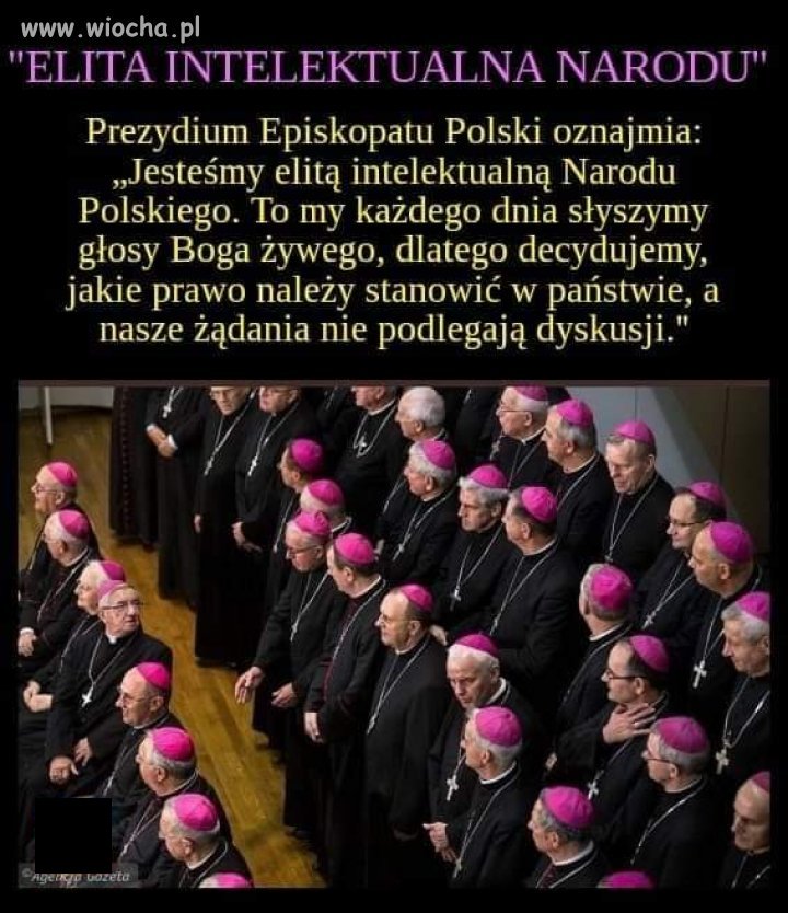 W normalnym kraju skierowano by tą elitę na badania psychiatryczne. 