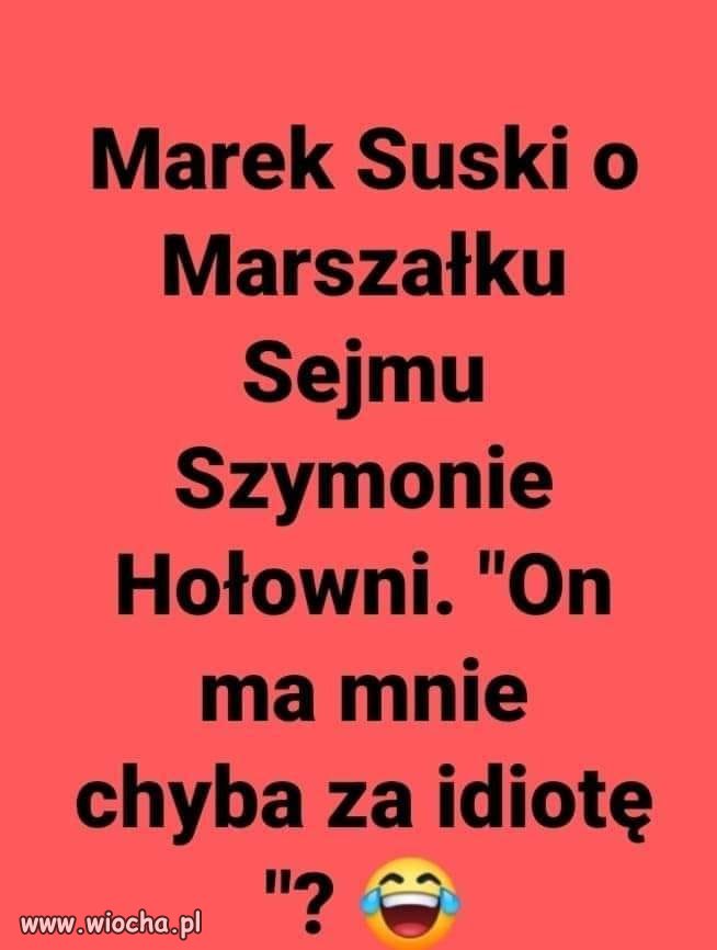 Jeśli jeden powie Ci, że jesteś osłem - nie przejmuj się