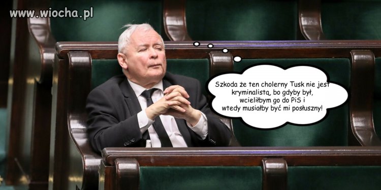 Tymczasem w głowie prezesa tysiąclecia!