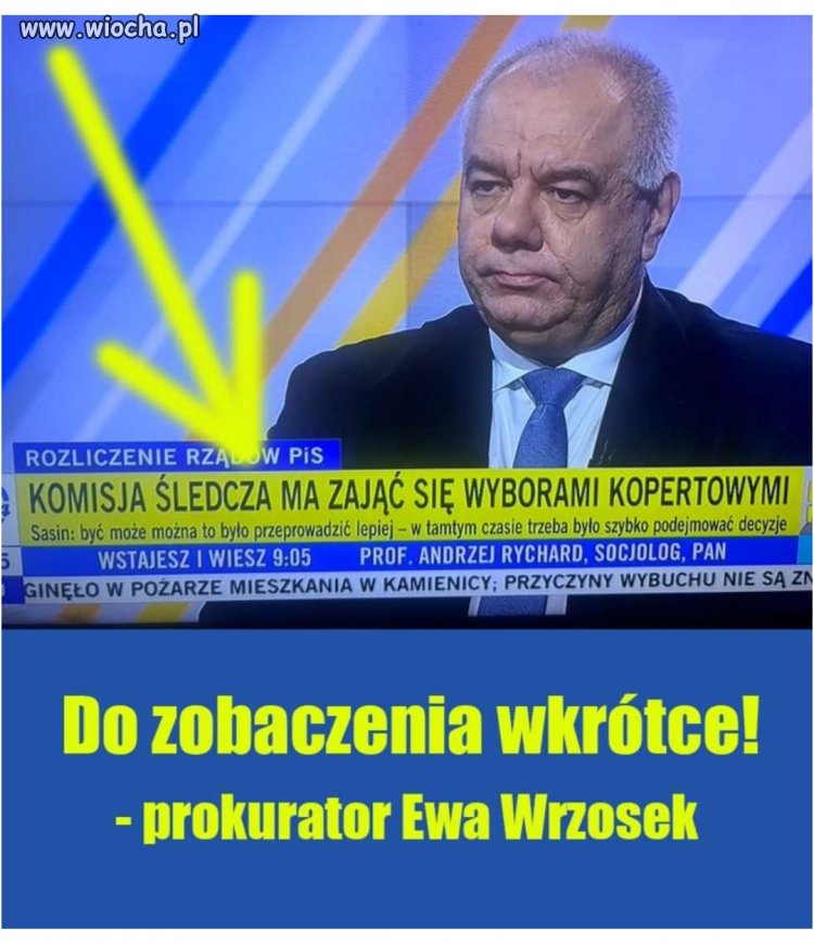 Schudnie już niedługo świnia