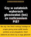 Zdecydowanie: Rozliczenie. Osądzenie. Wyrok.