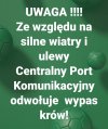 Alert CPK