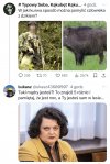 Potwierdzam