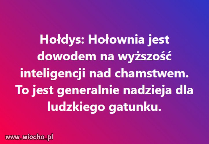 Pięknie rozpierd...pis debili jednego po drugim.