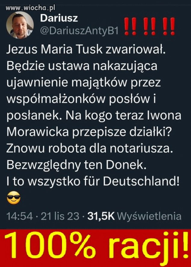 Panika w Pisie