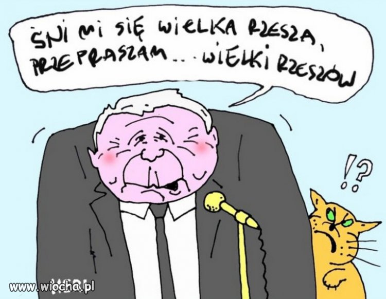 Jeden Naród, jeden Kościół, jeden Kaczyński.