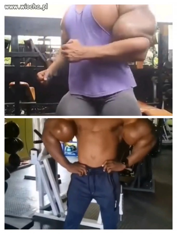 The synthol boys
