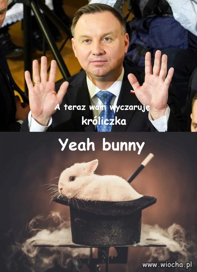 Mistrz iluzji wyczarował premiera