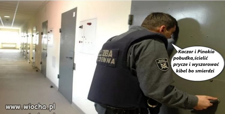 Niektórzy zastanawiają się co dalej