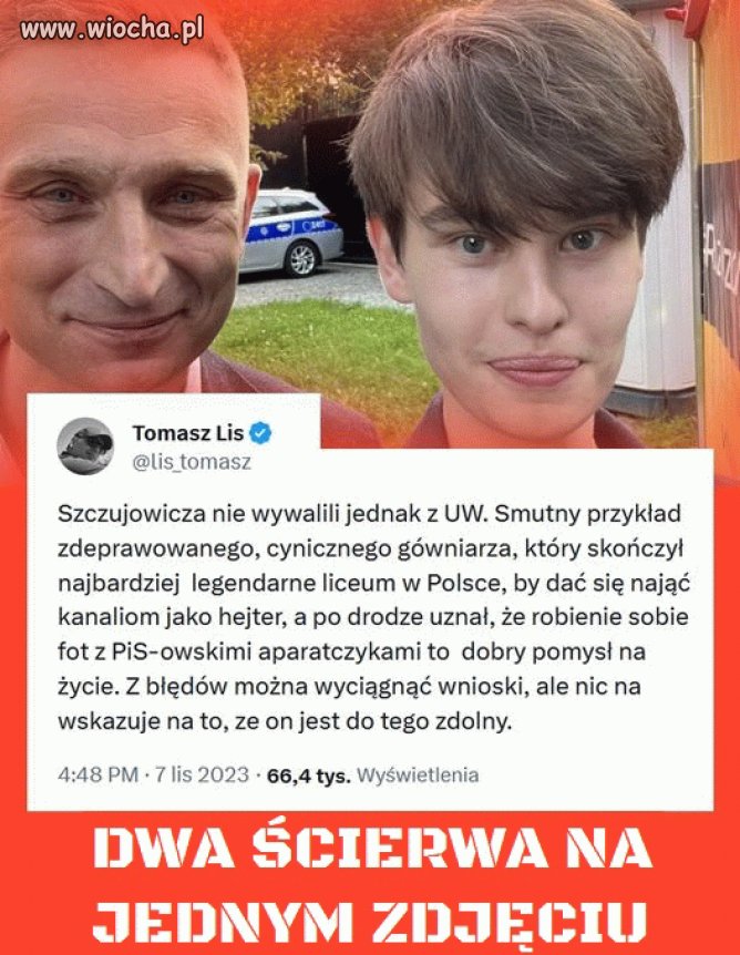 Ulala ścierwa dwa