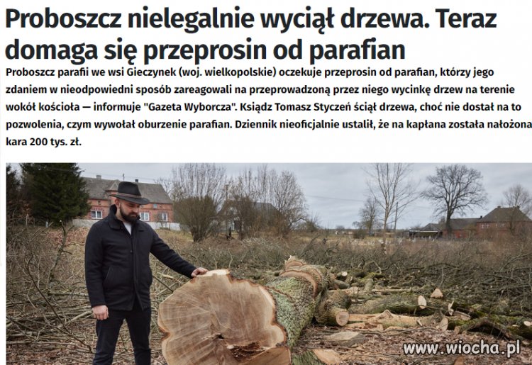 Coś mi się wydaje