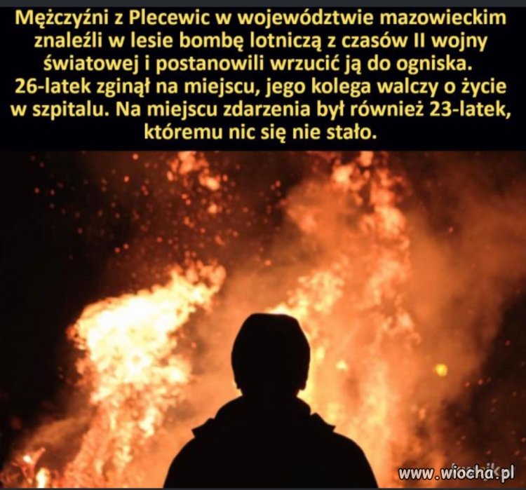 Myślę,że cała trójka zasługuje na nagrodę Darwina 