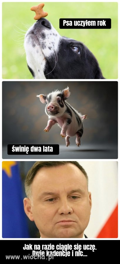 Pomóżcie 