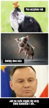 Pomóżcie 