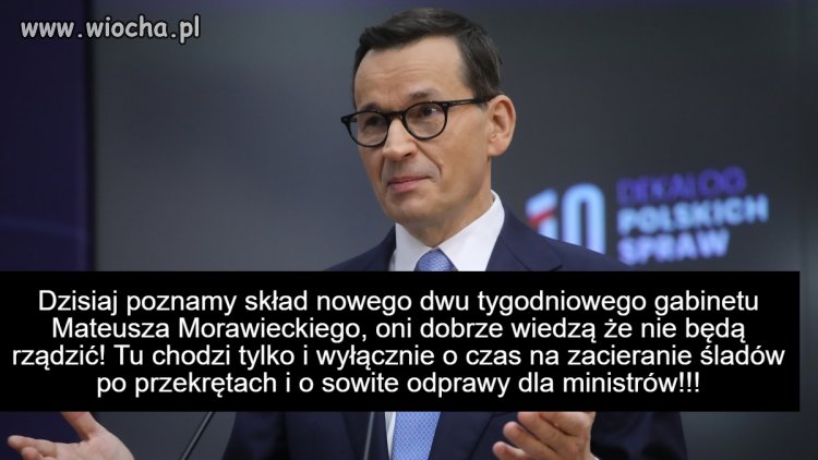 PiS w pigułce!