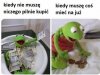 Jakże prawdziwe