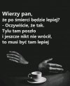 Logice nie można zaprzeczyć