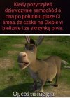 Zderzak, reflektor, czy oba