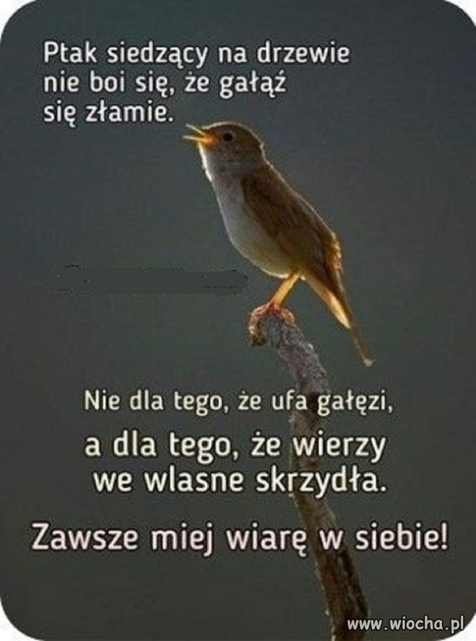 Trzeba wierzyć w siebie