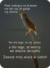 Trzeba wierzyć w siebie