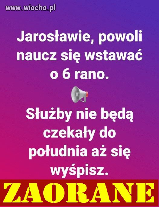 Jarosław, Jarosław