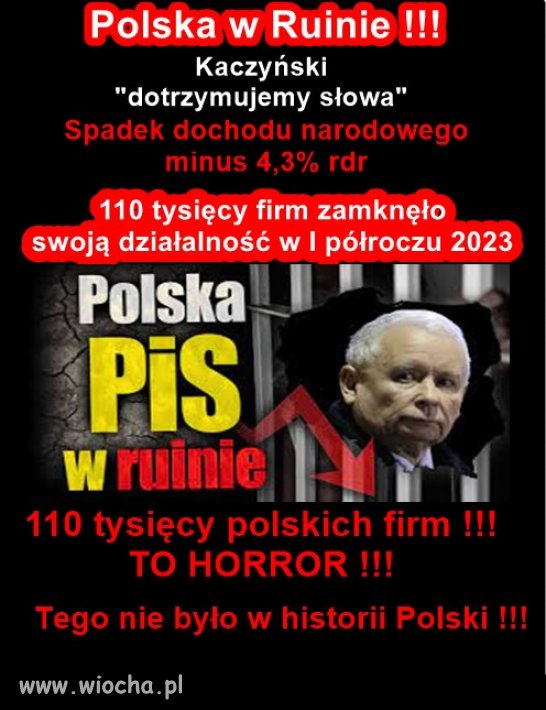 "Ruina +" jedyny program PiSu, zakończony sukcesem