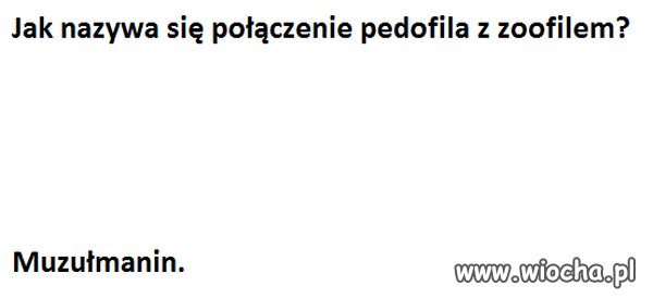Zagadka 