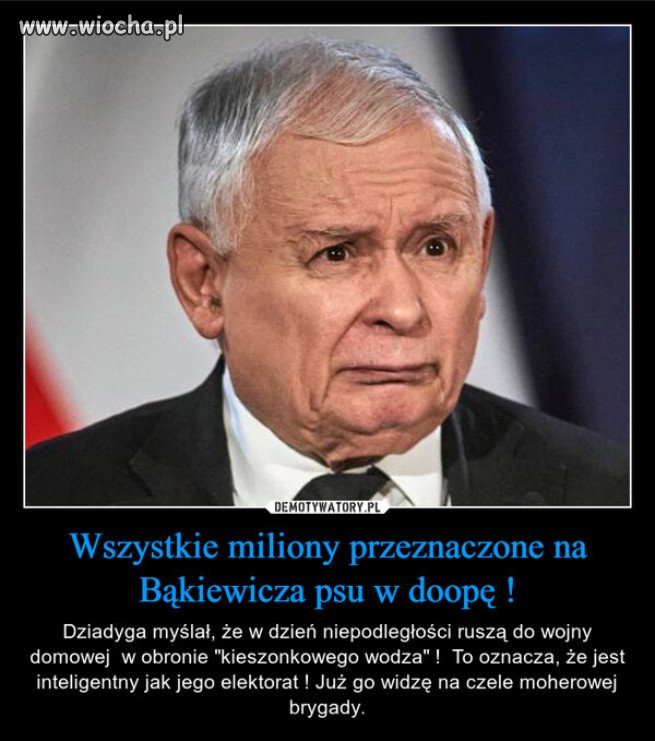 Ten gnom nawoluje do wojny domowej...