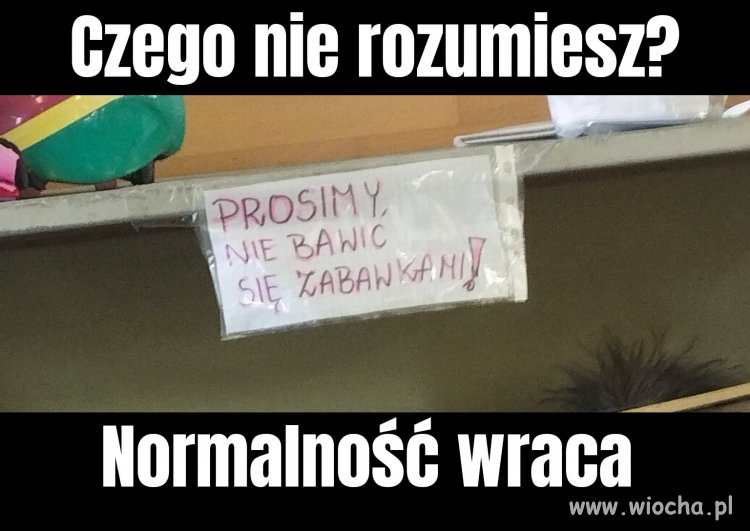 Polska normalność 