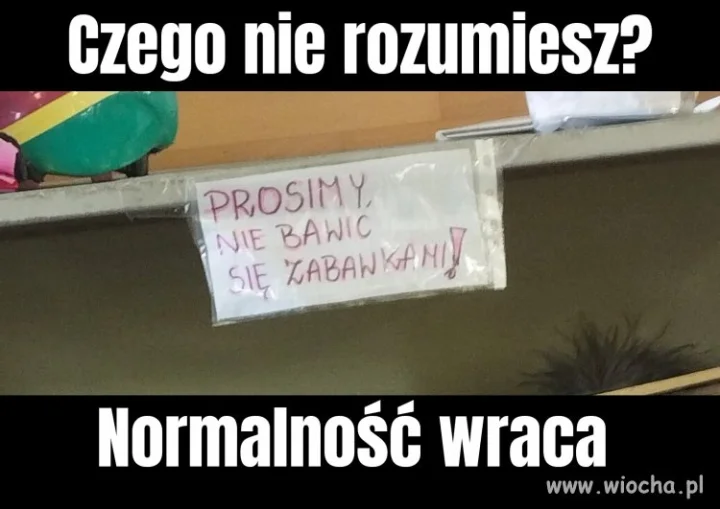 Polska normalność 